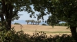 image10